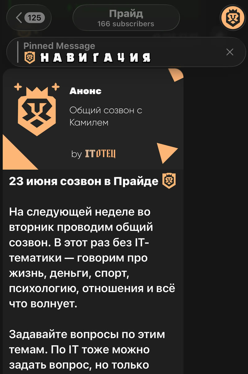 Анонс общего созвона с Камилем в канале Прайда